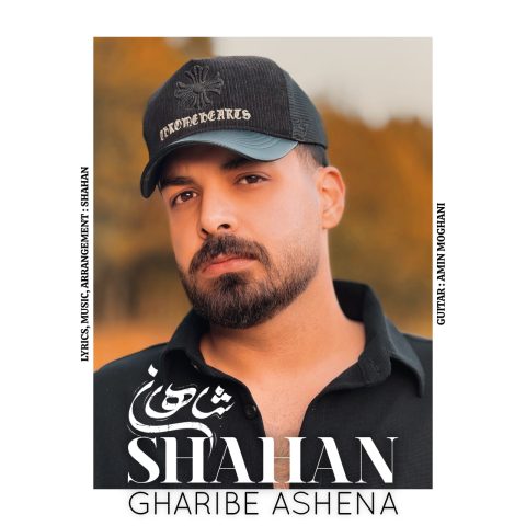 دانلود آهنگ شاهان غریب آشنا